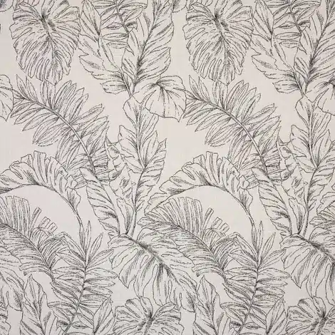 Calm20graphite