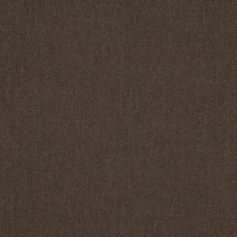 Canvas20java